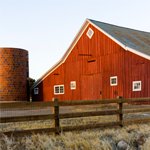 Evolving a Family Business: Lessons Learned from a Wisconsin Dairy Farm