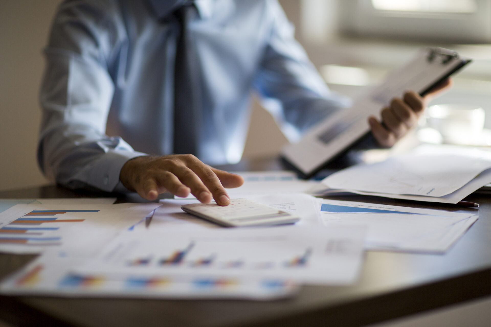 Income & Franchise Tax Services