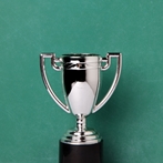 Top Center for Private Company Excellence blog post of 2013